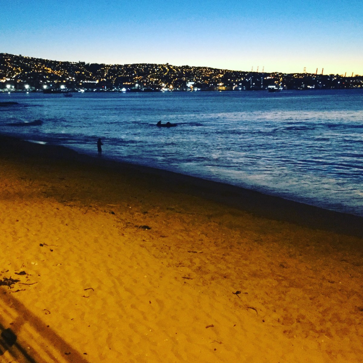 Day 60. Valparaiso El&nbsp;Fin.